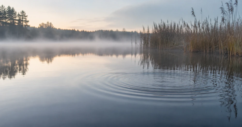 Ripples fading to stillness on a misty pond at dawn, symbolizing a panic attack passing